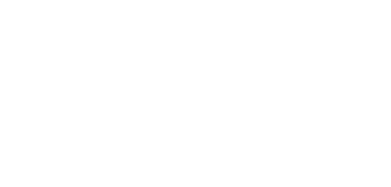 WORLD MANAGEMENT GROUP