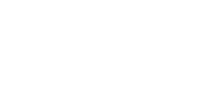 WORLD MANAGEMENT GROUP